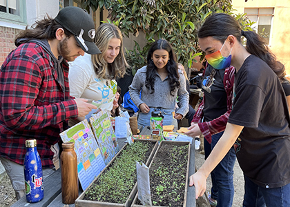 students working in a garden